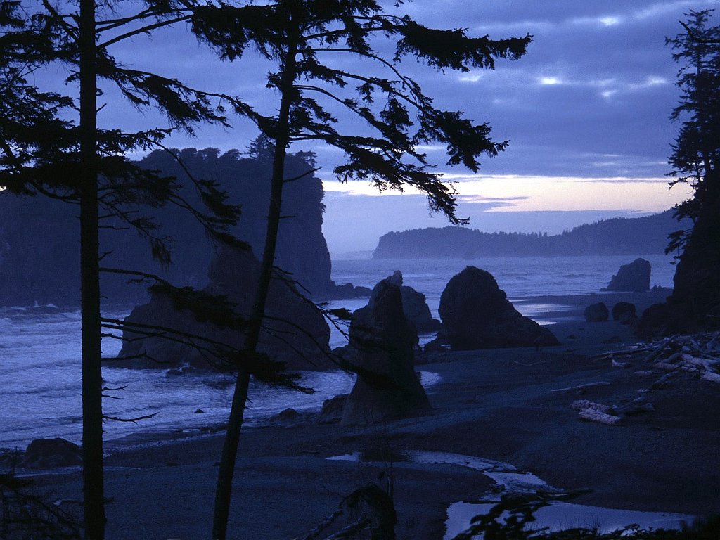 Ruby Beach, Olympic National Park, Washington